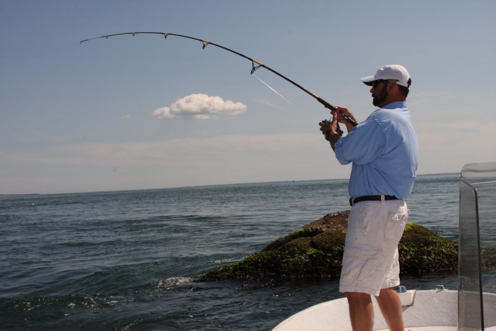 Fishing stripers and blues in Northeast boulder fields - fighting a striped bass